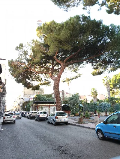 Appartamento in vendita a Paterno - foto 5