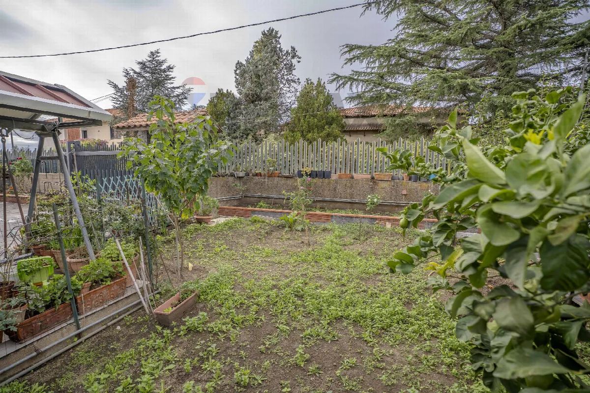 Casa Indipendente in vendita a San Pietro Clarenza - foto 5