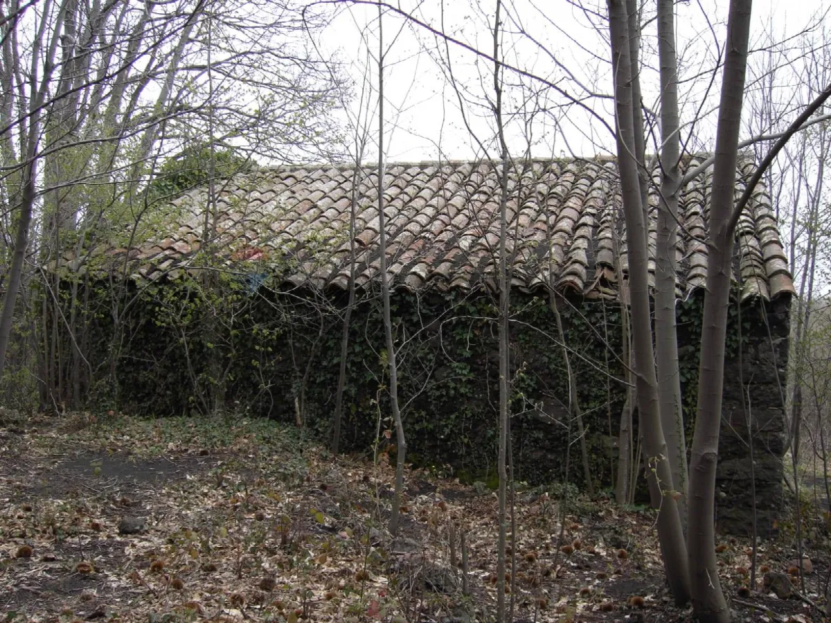 Rustico/Casale in vendita a Milo - foto 4