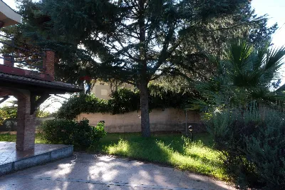 Villa in vendita a Pedara - foto 2