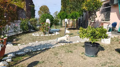 Appartamento in vendita a Parma - foto 7