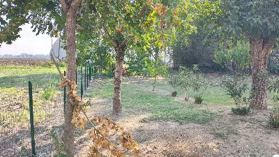 Appartamento in vendita a Parma - foto 9