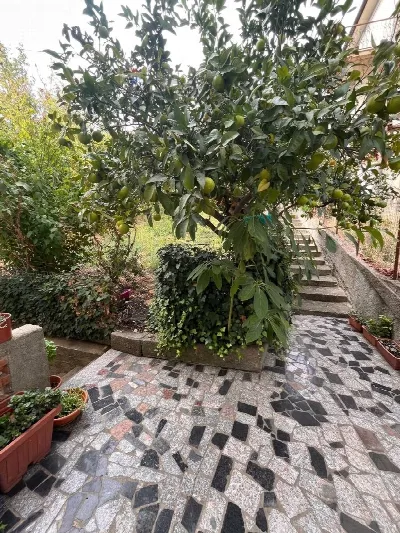 Appartamento in vendita a Torano Castello - foto 6