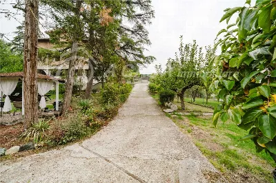 Casa Indipendente in vendita a Medesano - foto 2