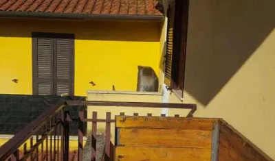 Villa in vendita ad Artena - foto 4