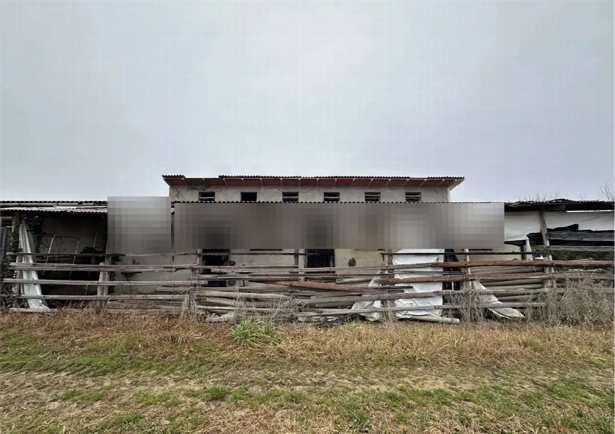 Rustico/Casale in vendita a Zero Branco - foto 5