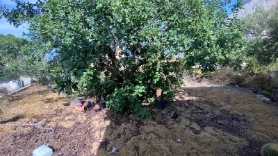 Villa in vendita a Cinisi - foto 9