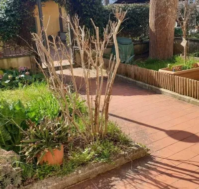 Casa Indipendente a Carmignano