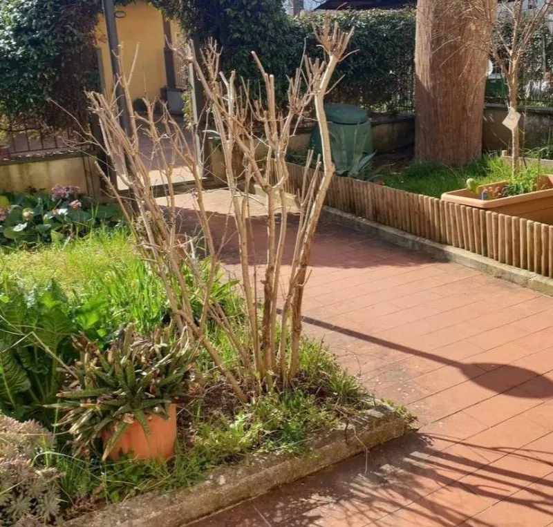 Casa Indipendente in vendita a Carmignano - foto 1