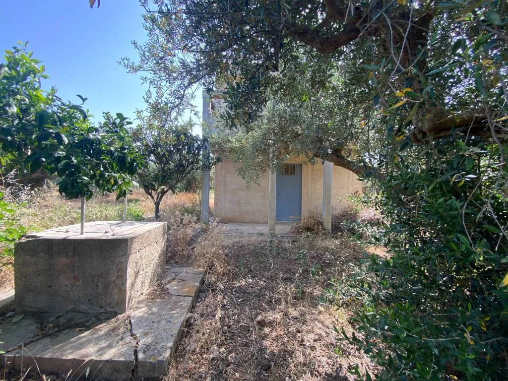 Villa in vendita a Partinico - foto 5