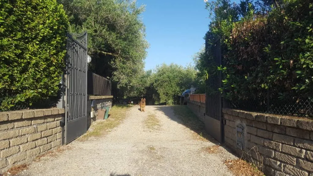 Villa in vendita a Formello - foto 3