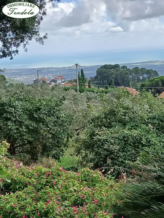 Rustico/Casale in vendita a Fosdinovo - foto 2