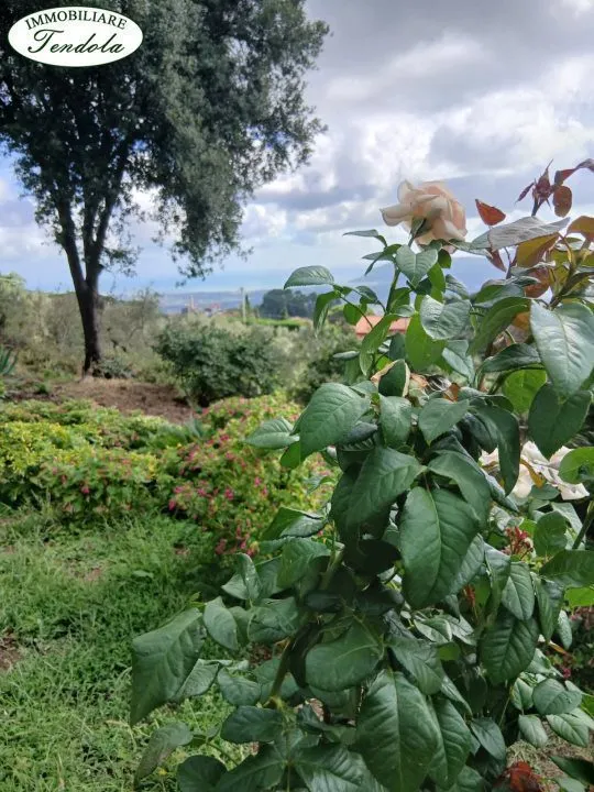 Rustico/Casale in vendita a Fosdinovo - foto 5