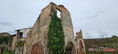 Rustico/Casale in vendita a Certaldo - foto 5
