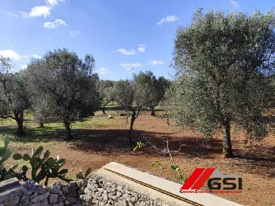 Rustico/Casale in vendita a Ceglie Messapi... - foto 10