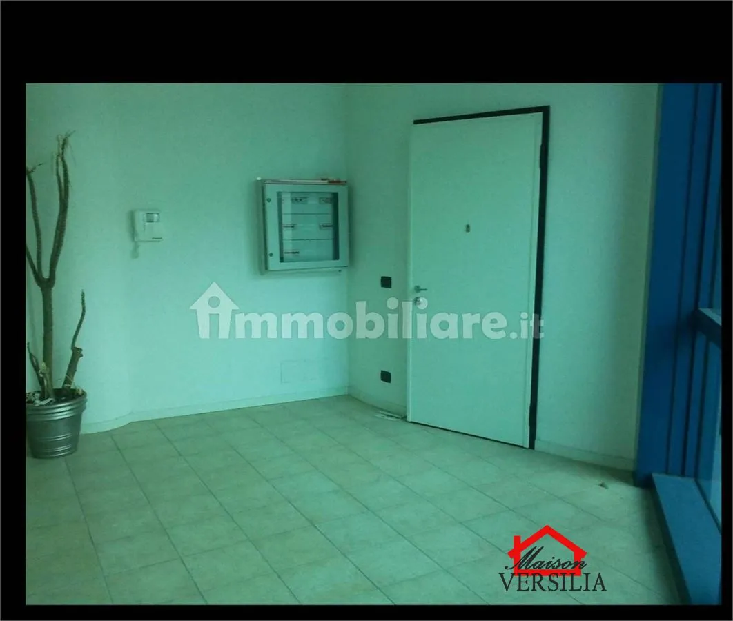 Ufficio in vendita a Massa, Zona Industriale, Castagnola - foto 4