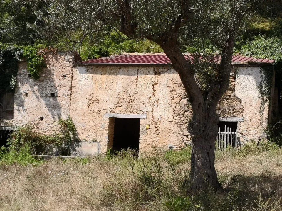 Rustico/Casale in vendita ad Altilia - foto 2