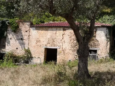 Rustico/Casale in vendita ad Altilia - foto 2