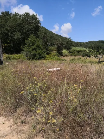 Rustico/Casale in vendita ad Altilia - foto 7