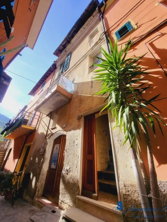 Rustico/Casale in vendita a Villanova d'Albenga - foto 2