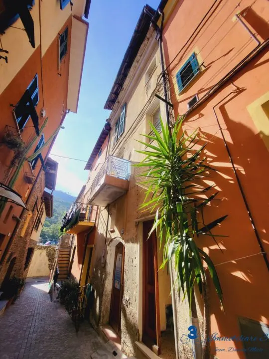 Rustico/Casale in vendita a Villanova d'Albenga - foto 3