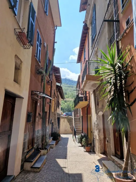 Rustico/Casale in vendita a Villanova d'Albenga - foto 5