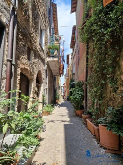 Rustico/Casale in vendita a Villanova d'Al... - foto 8