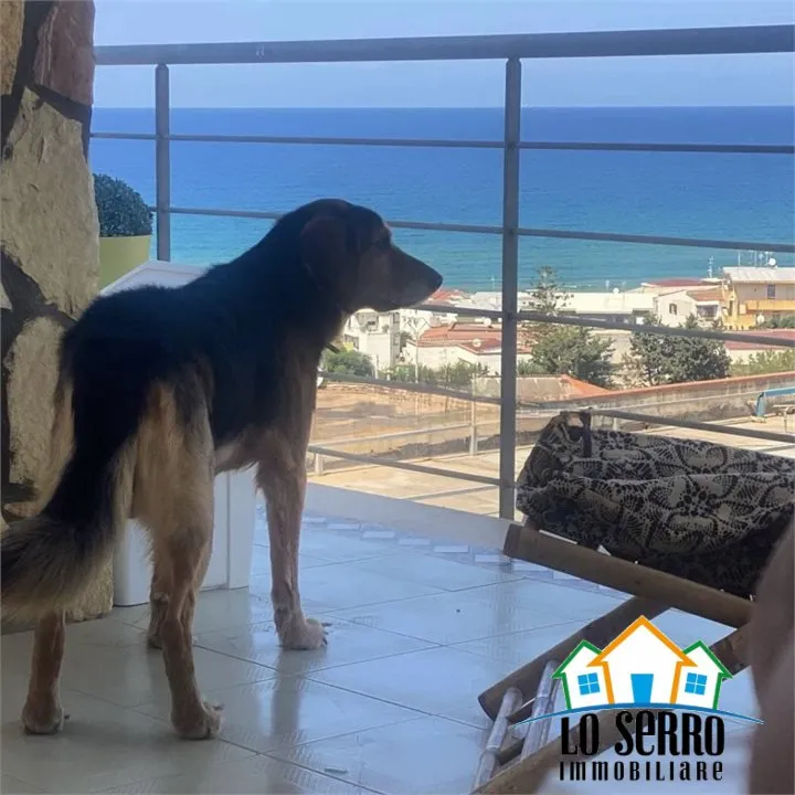 Appartamento in vendita ad Alcamo - foto 3