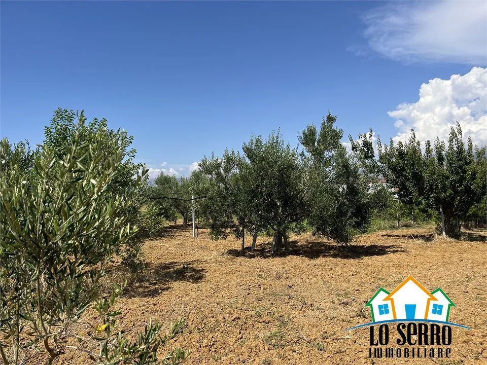 Rustico/Casale in vendita a Partinico - foto 4