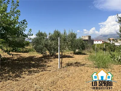 Rustico/Casale in vendita a Partinico - foto 7