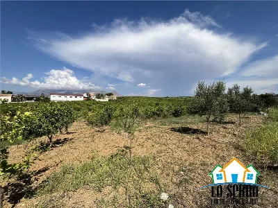 Rustico/Casale in vendita a Partinico - foto 8