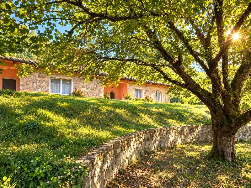 Villa in vendita a Londa - foto 1