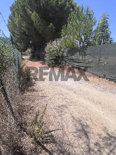 Villa in vendita a Monte Argentario - foto 6