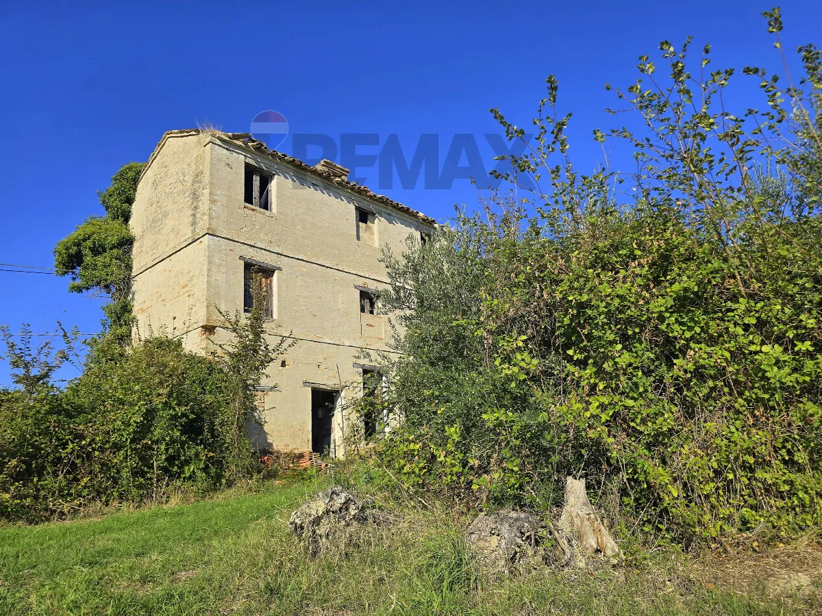 Rustico/Casale in vendita a Francavilla d'Ete - foto 3