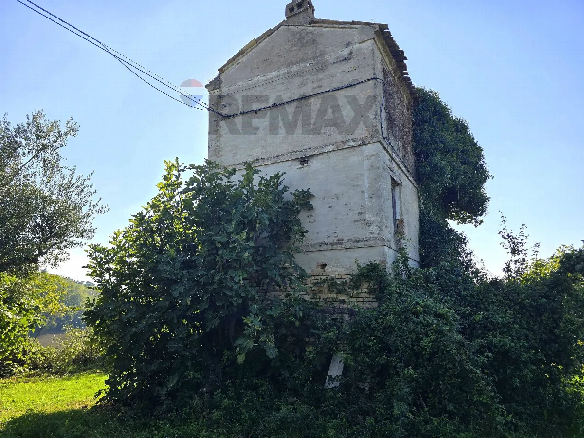 Rustico/Casale in vendita a Francavilla d'Ete - foto 5