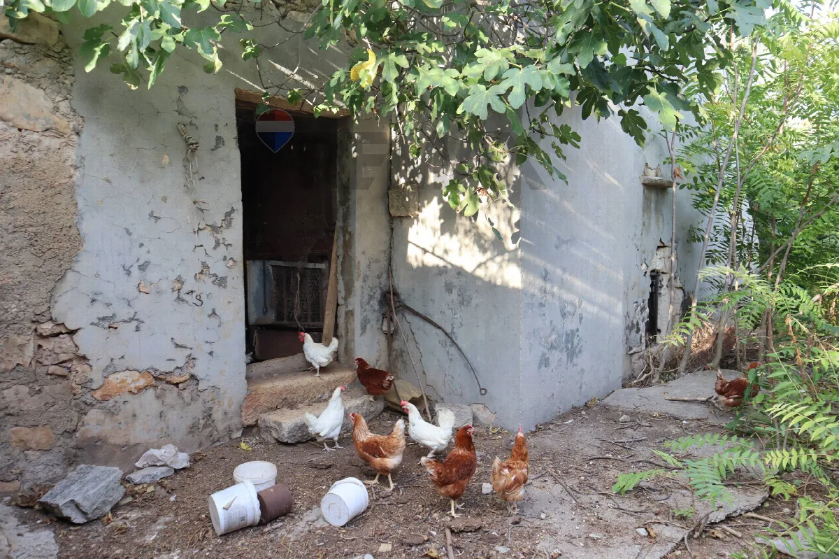 Rustico/Casale in vendita a Ragusa, Puntarazzi, Pozzillo, Donnafugata, Punta Braccetto - foto 2