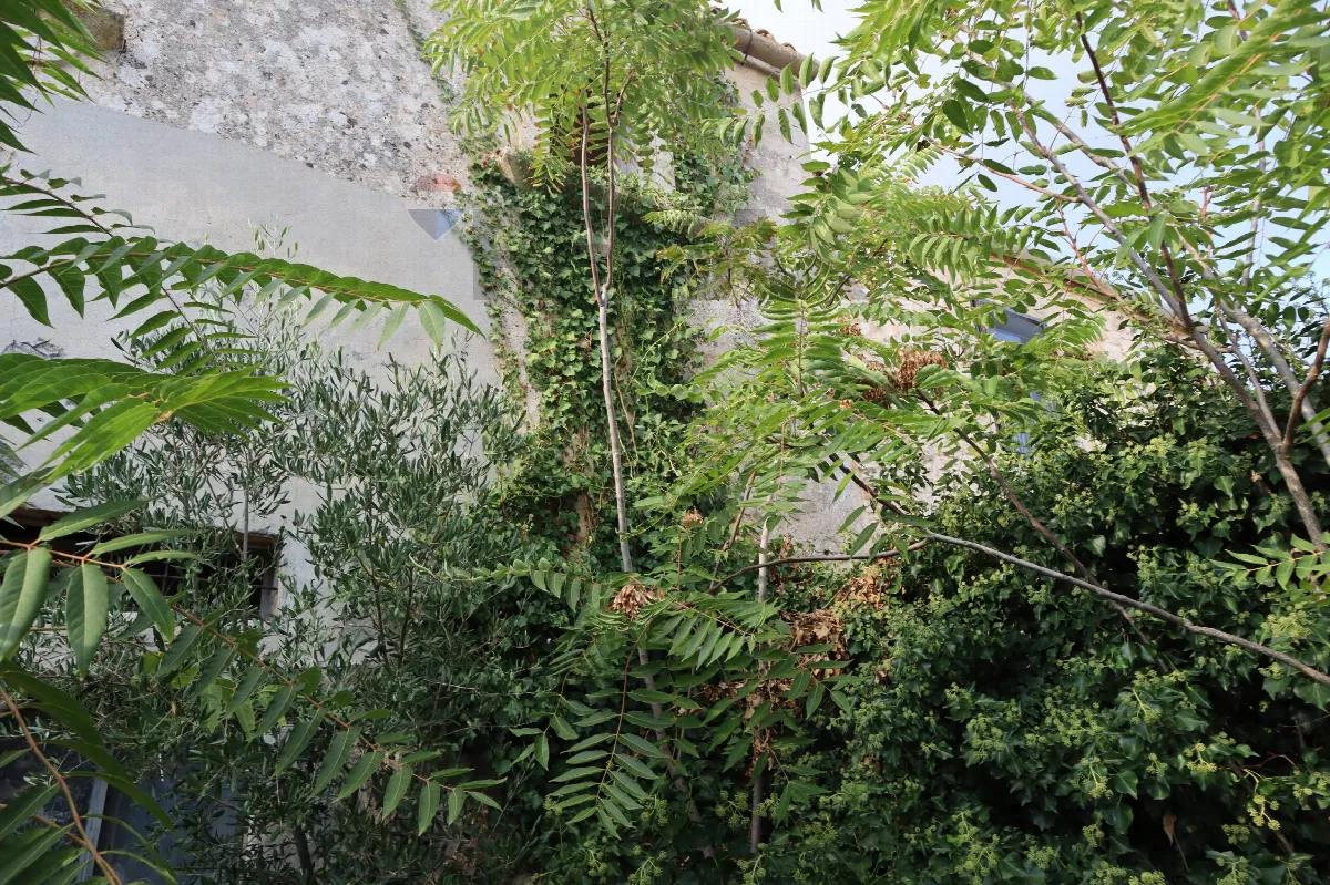Rustico/Casale in vendita a Ragusa, Puntarazzi, Pozzillo, Donnafugata, Punta Braccetto - foto 5