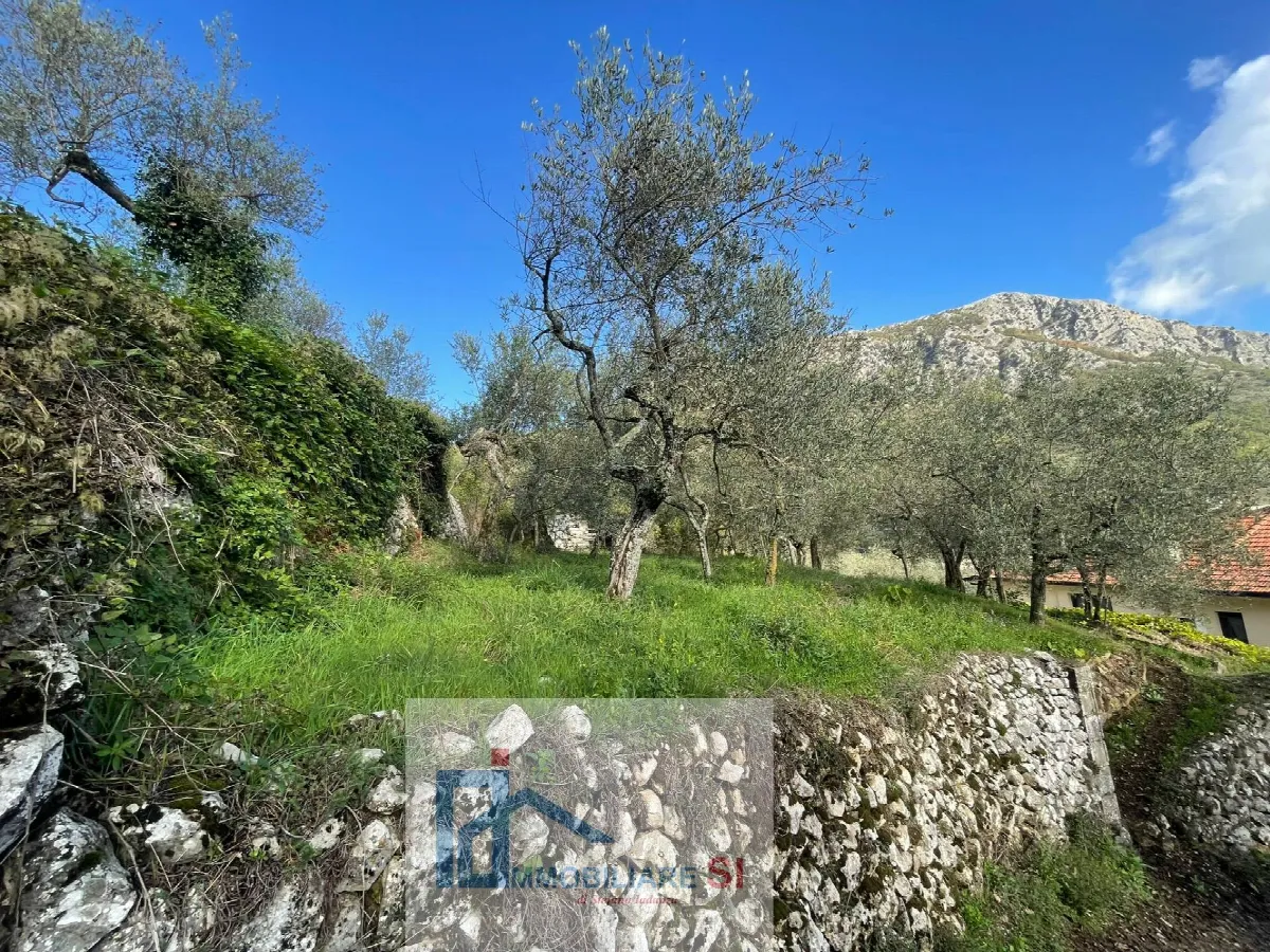 Casa Indipendente in vendita a Vitulano - foto 2