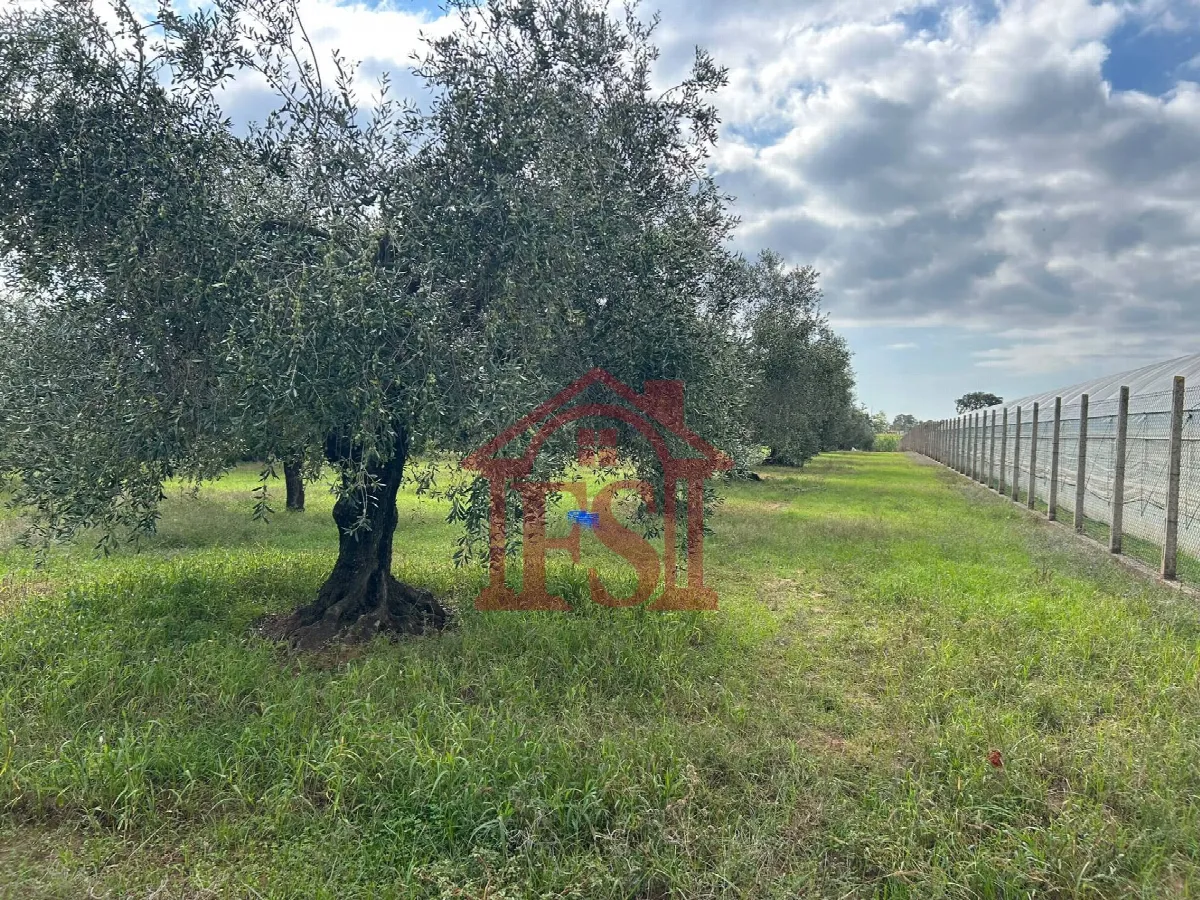 Villa in vendita a Fondi - foto 3