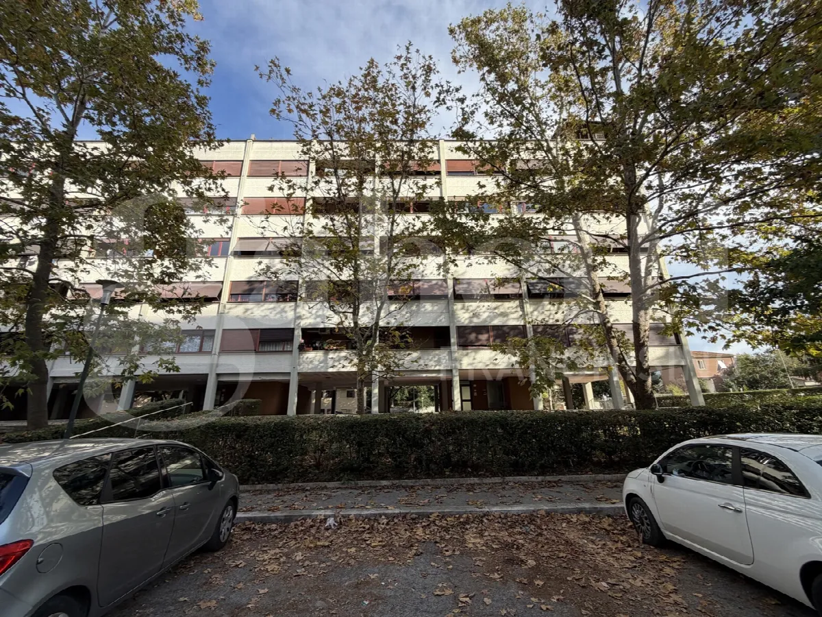 Appartamento in vendita a Terni, Cospea, San Giovanni, Città Giardino - foto 3