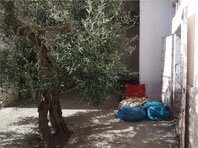 Casa Indipendente in vendita a Bitonto - foto 10