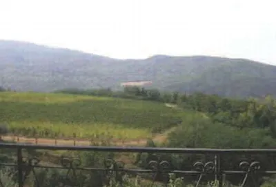 Appartamento in vendita a Rufina - foto 3