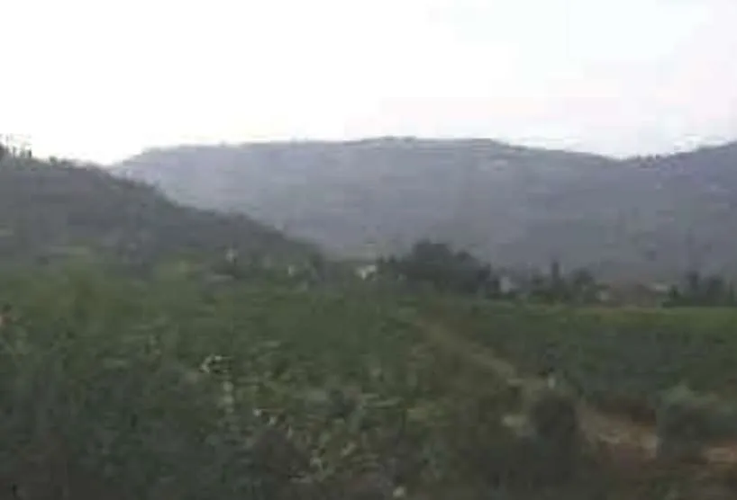Appartamento in vendita a Rufina - foto 4
