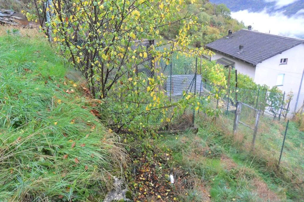 Rustico/Casale in vendita a Castione Andevenno - foto 3