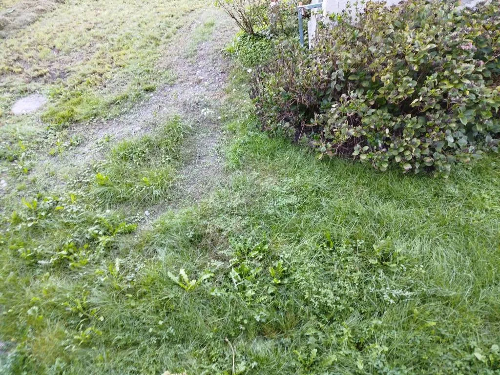 Casa Indipendente in vendita a Teglio - foto 3