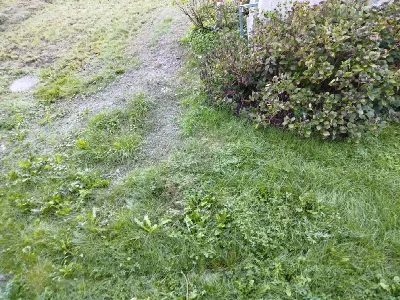 Casa Indipendente in vendita a Teglio - foto 3