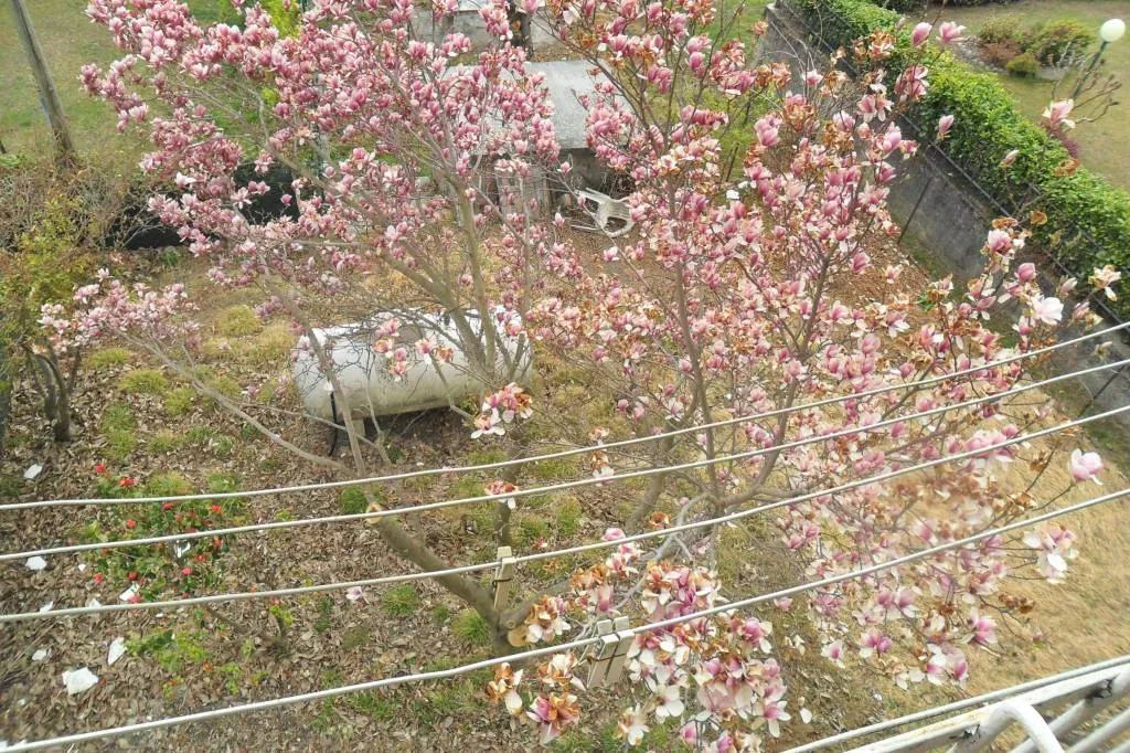 Rustico/Casale in vendita a Berbenno di Valtellina - foto 2
