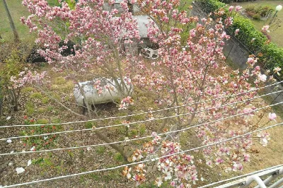 Rustico/Casale in vendita a Berbenno di Va... - foto 2