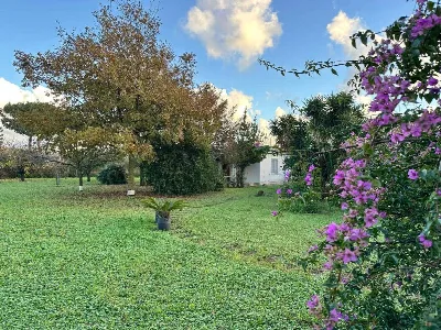 Villa in vendita ad Anzio - foto 2