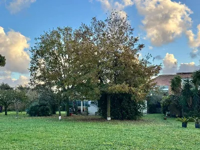 Villa in vendita ad Anzio - foto 9